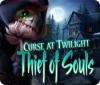 Download free flash game Curse at Twilight: Thief of Souls