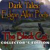 Download free flash game Dark Tales: Edgar Allan Poe's The Black Cat Collector's Edition