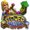 Download free flash game Flower Shop: Big City Break