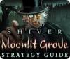 Download free flash game Shiver: Moonlit Grove Strategy Guide