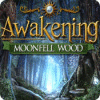 Download free flash game Awakening: Moonfell Wood