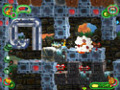 Free download Beetle Bug 3 screenshot