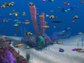 Free download Big Kahuna Reef screenshot