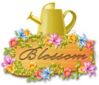 Download free flash game Blossom