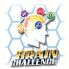 Download free flash game Brain Challenge