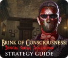 Download free flash game Brink of Consciousness: Dorian Gray Syndrome Strategy Guide