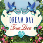 Download free flash game Dream Day True Love