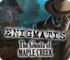 Download free flash game Enigmatis: The Ghosts of Maple Creek