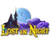 Download free flash game Lost in Night