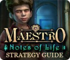 Download free flash game Maestro: Notes of Life Strategy Guide