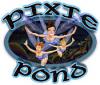 Download free flash game Pixie Pond