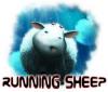 Download free flash game Running Sheep