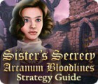Download free flash game Sister's Secrecy: Arcanum Bloodlines Strategy Guide