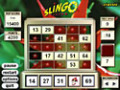 Free download Slingo Deluxe screenshot