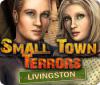 Download free flash game Small Town Terrors: Livingston