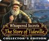 Download free flash game Whispered Secrets: The Story of Tideville Collector's Edition